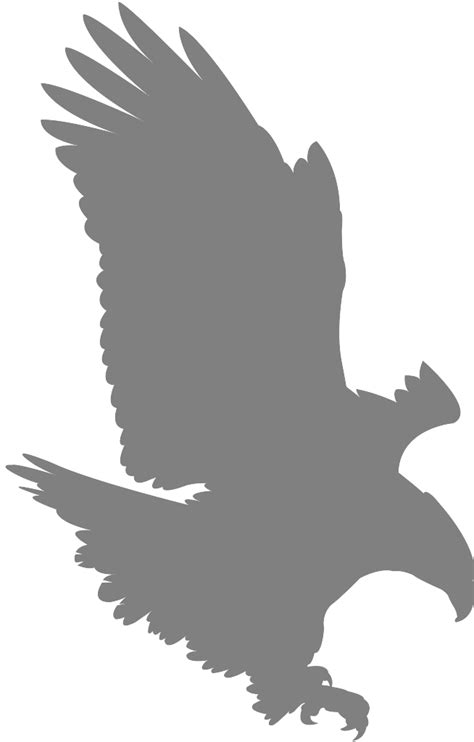 Eagle Landing Silhouette Free Vector Silhouettes