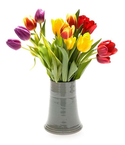 Check spelling or type a new query. Flower Vase Part 1 - We Need Fun
