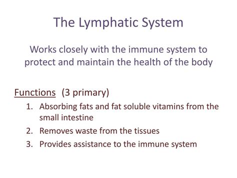 Ppt Chapter 6 The Lymphatic And Immune Systems Powerpoint