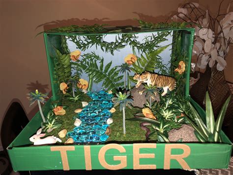 Rainforest Diorama Habitat Rainforest Animal