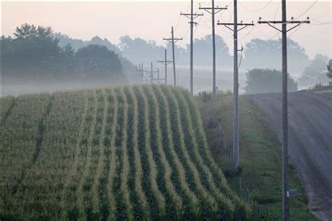 USDA: Highest corn acreage since 1936 expected - cleveland.com