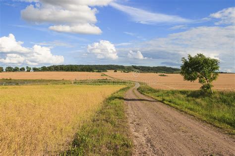 Country Road Stock Image Image Of Farmland Fields Barrier 8999