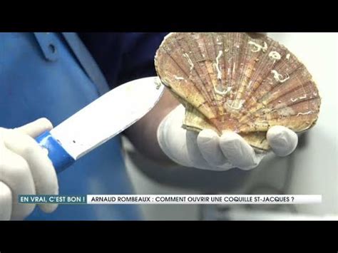Comment ouvrir des coquilles Saint - Jacques -