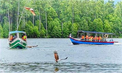 Lebih kurang 2 km sampai ke kampung dew di sebelah kanan jalan. KUALA SEPETANG ECO TOURISM Matang Mangrove Forest Reserve ...
