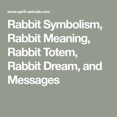 Rabbit Symbolism Rabbit Meaning Rabbit Totem Rabbit Dream And