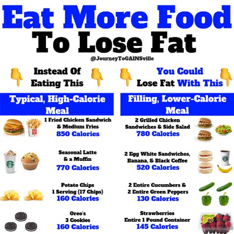 Eat More Food To Lose Fat — Journey To Gains Transform Your Body And Life