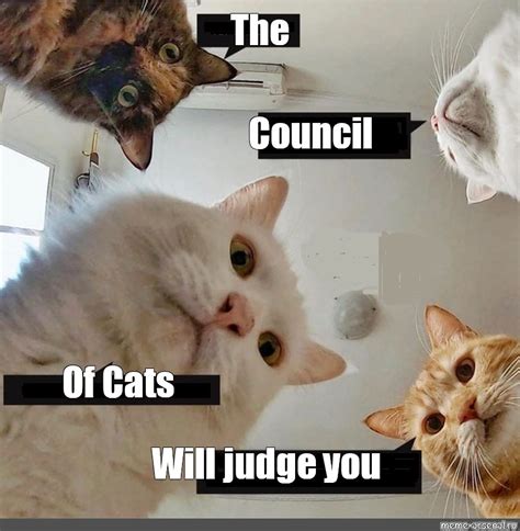 Meme The Council Of Cats Will Judge You All Templates Meme