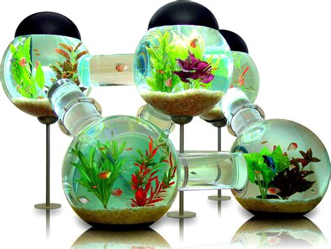 Fish Tank HD desktop wallpaper : Widescreen : High Definition : Fullscreen