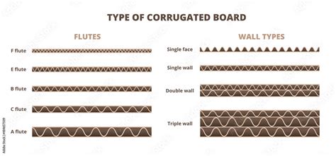 Vector Scheme Type Of Corrugated Board Or Cardboard Isolated On White Cardboard Flute Typical