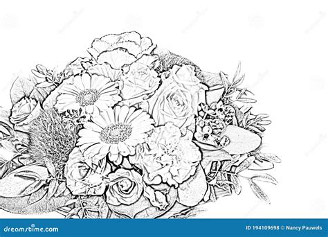 Pencil Drawing Bouquet Of Flowers Sketch Stock Photo Image Of Mixed