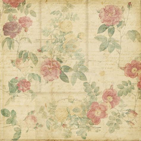 Botanical Vintage Roses Shabby Chic Background Stock Illustration