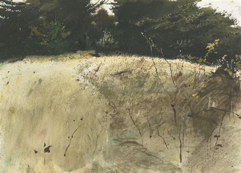 Fall Grasses By Andrew Wyeth 1955 Watercolor On Paper With