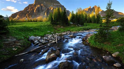 Maybe you would like to learn more about one of these? River wallpaper ·① Download free HD wallpapers for desktop and mobile devices in any resolution ...