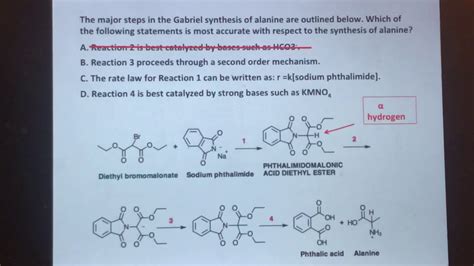 Gabriel Synthesis Of Amino Acids - MCAT Organic O Chem Gabriel synthesis of amino acids med-pathway.com