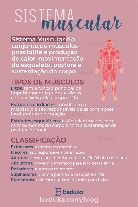 Sistema Muscular Artofit