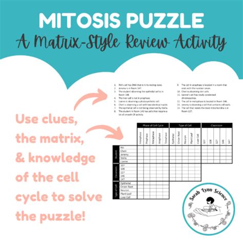 Mitosis Logic Puzzle A Cell Cycle Review Activity Classful