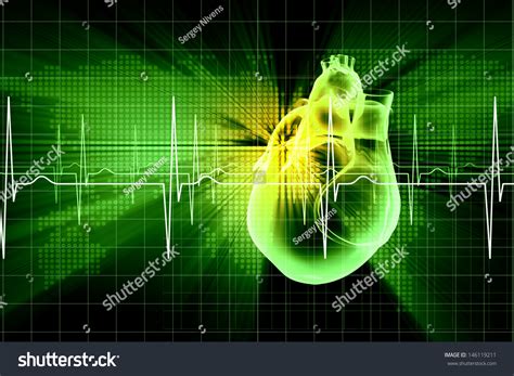 Virtual Image Human Heart Cardiogram Stock Illustration 146119211