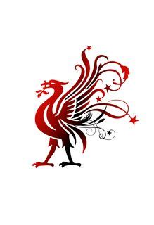 It is normally represented as a cormorant, and appears as such on the city's arms, in which it bears a branch of laver seaweed in its beak as a further pun on the name liverpool. Die besten 25+ Liverbird tattoo Ideen auf Pinterest