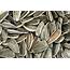 Bodybuilding And Sunflower Seeds  Healthfully