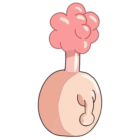 Everything You Need To Know About The Plumbus From Rick And Morty