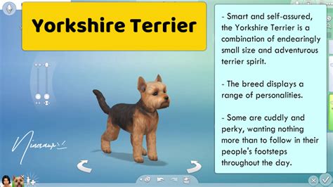 38 Small Dog Breeds The Sims 4 Ninesaur Small Dog Breeds Sims Dog