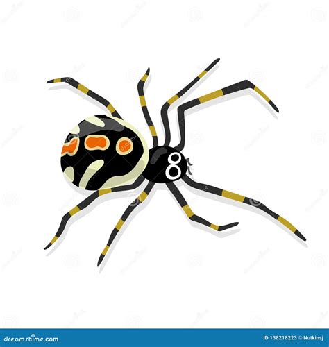 Female Juvenile Black Widow Spider Isolated Stock Vector Illustration