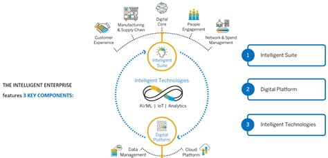 Sap Intelligent Enterprise Framework Overview And Business