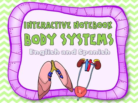 A stem activity is an activity that contains elements of science, technology, engineering, or math, and. Human body Systems Interactive Notebook | Body systems ...