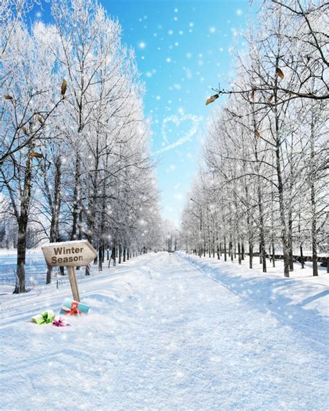 Winter Wonderland Snow Trees Backgrounds For Sale Vinyl Cloth High