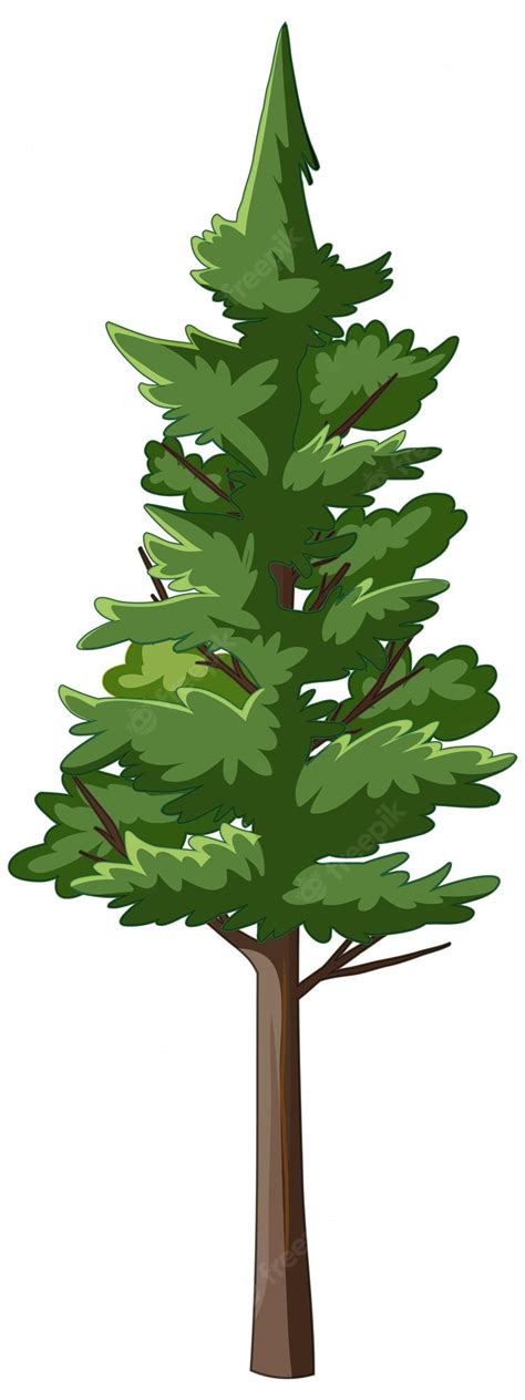 Free Vector Pine Tree In Cartoon Style Isolated