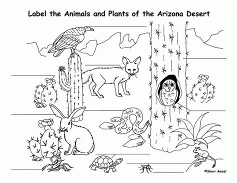 Best Image Of Animal Habitats Coloring Printables Coloring Home