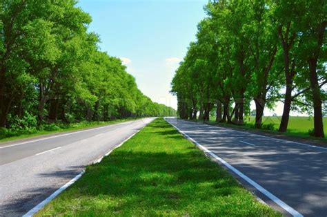 Wide Road With Trees On Both Sides Stock Photo Colourbox