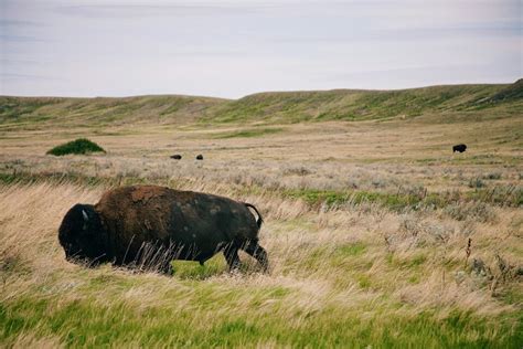 The Wonders Of Southwestern Saskatchewan — Weblog Wannabe