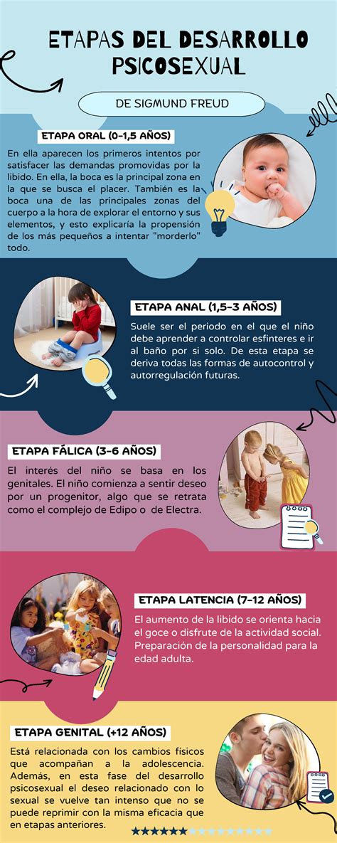 Infograf A Etapas Psicosexuales De Sigmund Freud Etapas Del