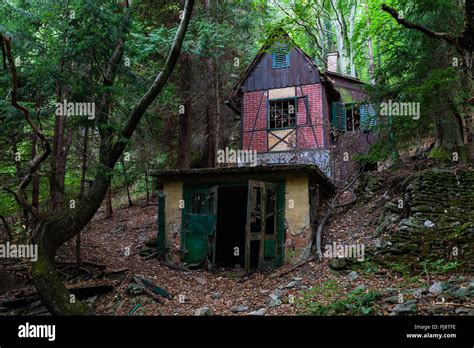 Abandoned House In Forest