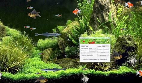 Download Animated Aquarium Wallpaper Desktop By Thomasevans