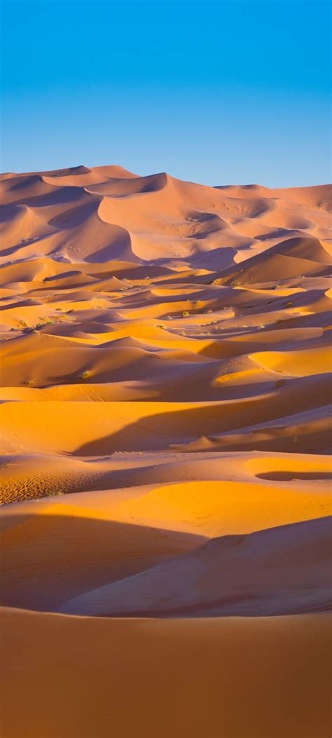 Sahara Desert 4k Wallpaper Merzouga Morocco Sand Dune