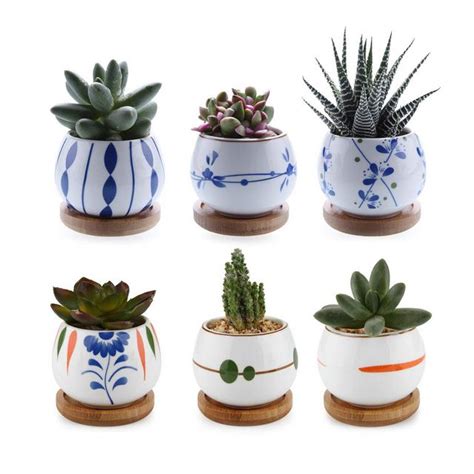 Vaso con pianta per la decorazione della casa e per la vista verde interna della vostra casa. ComSaf Vaso per Pianta Grassa Vaso di Piante con Vassoio ...