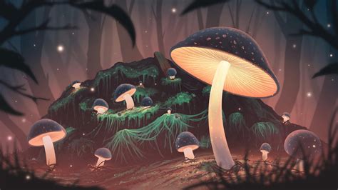 Wallpaper Mushrooms Glow Light Forest Art Hd Widescreen High