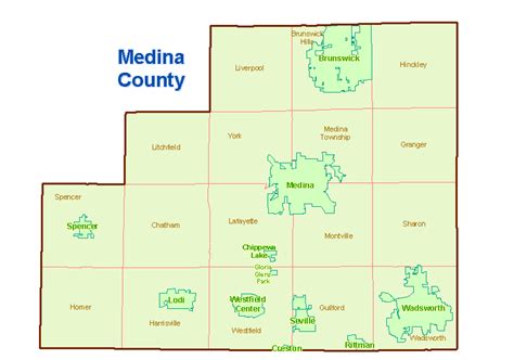 Medina County Census Page