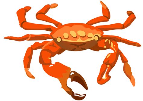 Crab Png Transparent Image Png Mart
