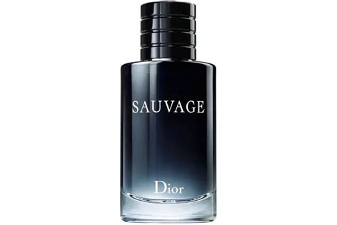 25 Best Perfumes And Colognes For Men Man Of Many Perfume Perfume
