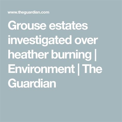 Grouse Estates Investigated Over Heather Burning