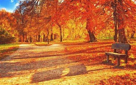 Toamna Prin Parcurile Patriei Desktop Wallpapers Autumn Landscape