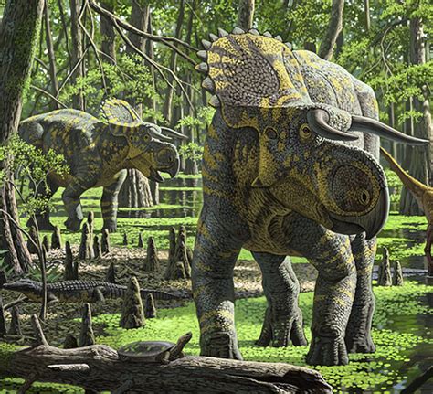 New Species Of Dinosaur Found In Utah Was Triceratops Cousin Discover