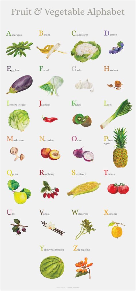 New Alphabet Vegetables Alphabet