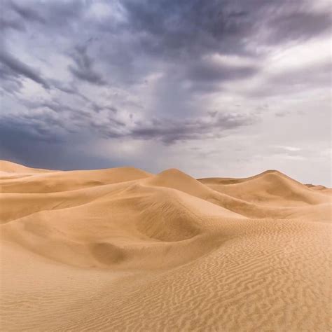 Beautiful View Clouds Against The Background Of The Yellow Sand Of The