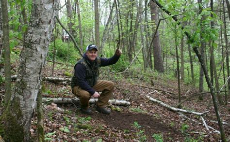 How To Make A Mock Scrape Whitetail Habitat Solutions