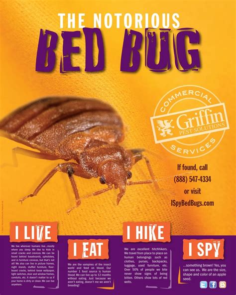 Free Bed Bug Poster Griffin Pest Solutions Facebook Bed Bugs Bed