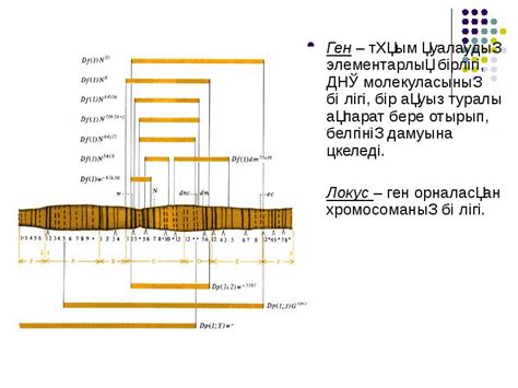 Слайды и текст этой презентации. Генетика пәні. Моногибридті, дигибридті, полигибридті ...